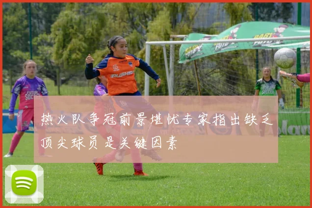 热火队争冠前景堪忧专家指出缺乏顶尖球员是关键因素